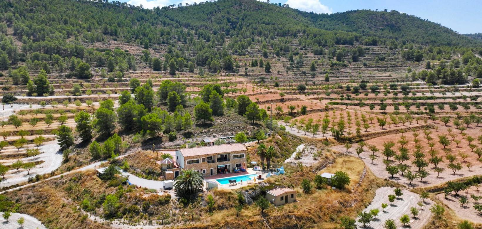 Resale - Country home - Pinoso