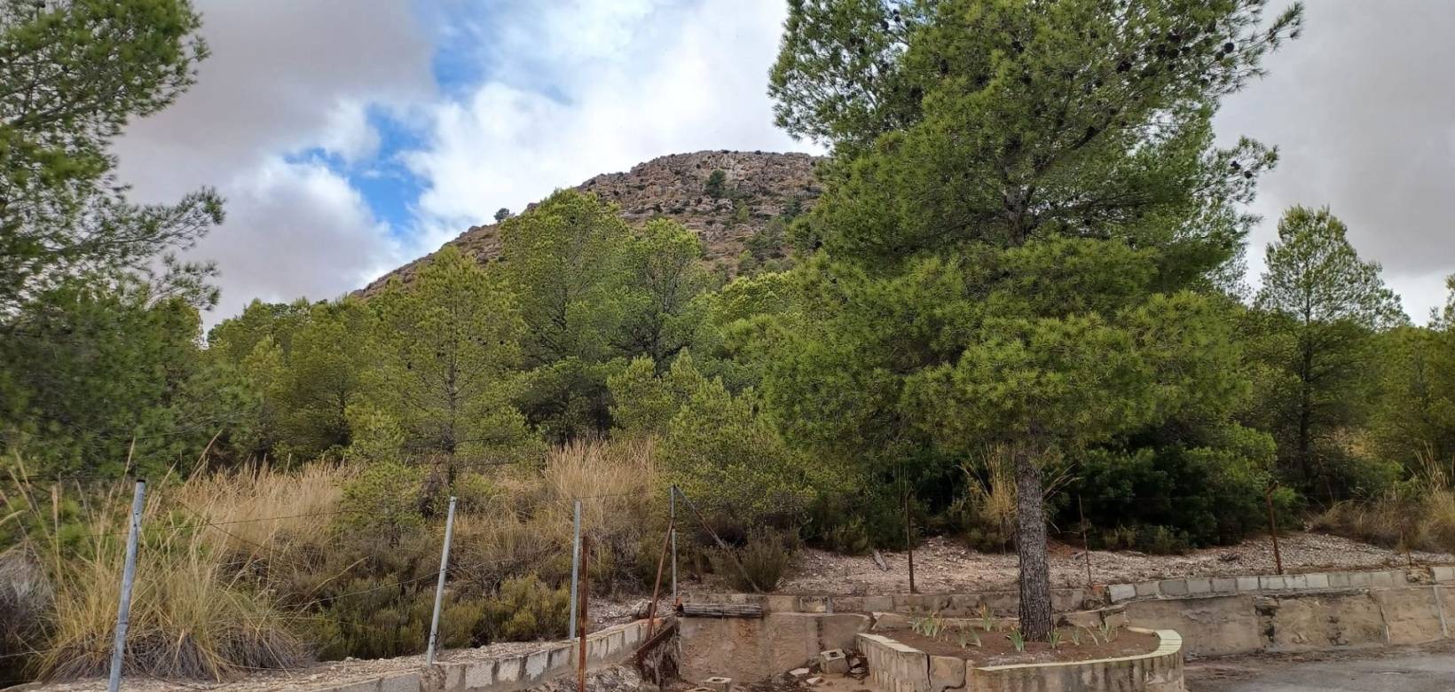Resale - Country home - Yecla