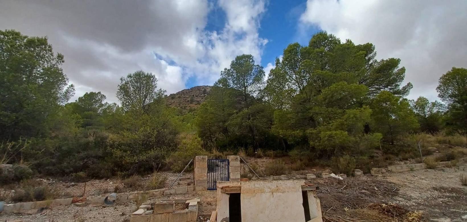 Resale - Country home - Yecla