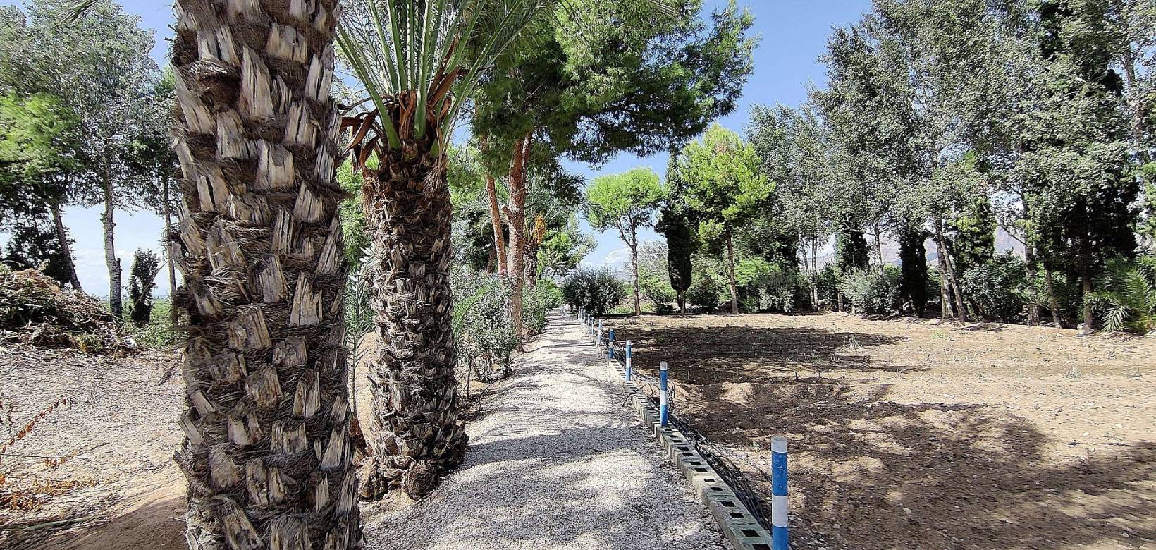 Resale - Country house - Crevillente