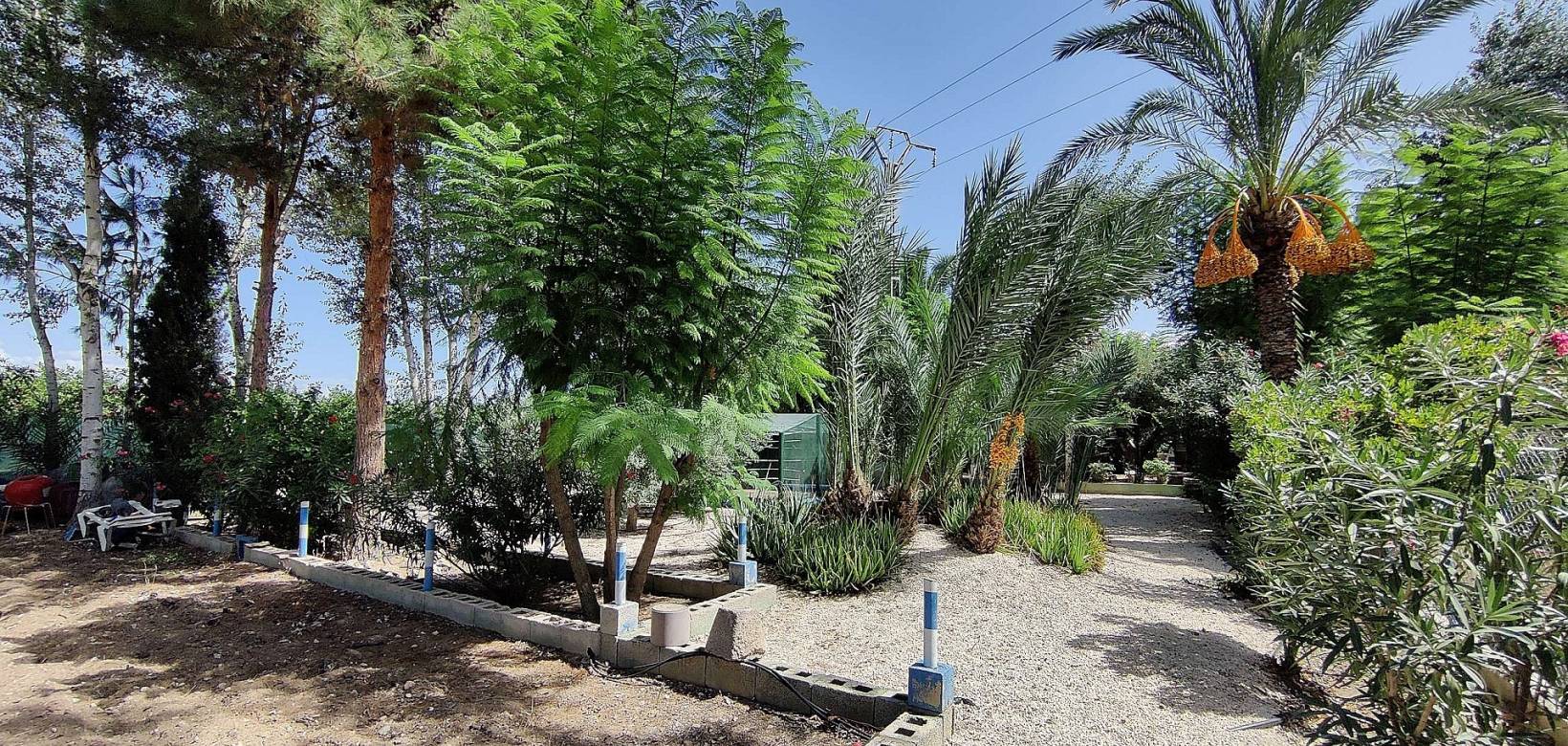 Resale - Country house - Crevillente