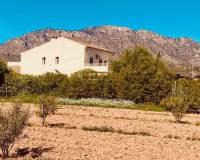 Resale - Country house - El Cantón