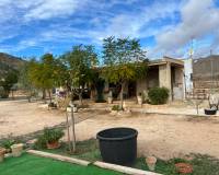 Resale - Country house - La Canalosa