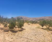 Resale - Country house - La Romana