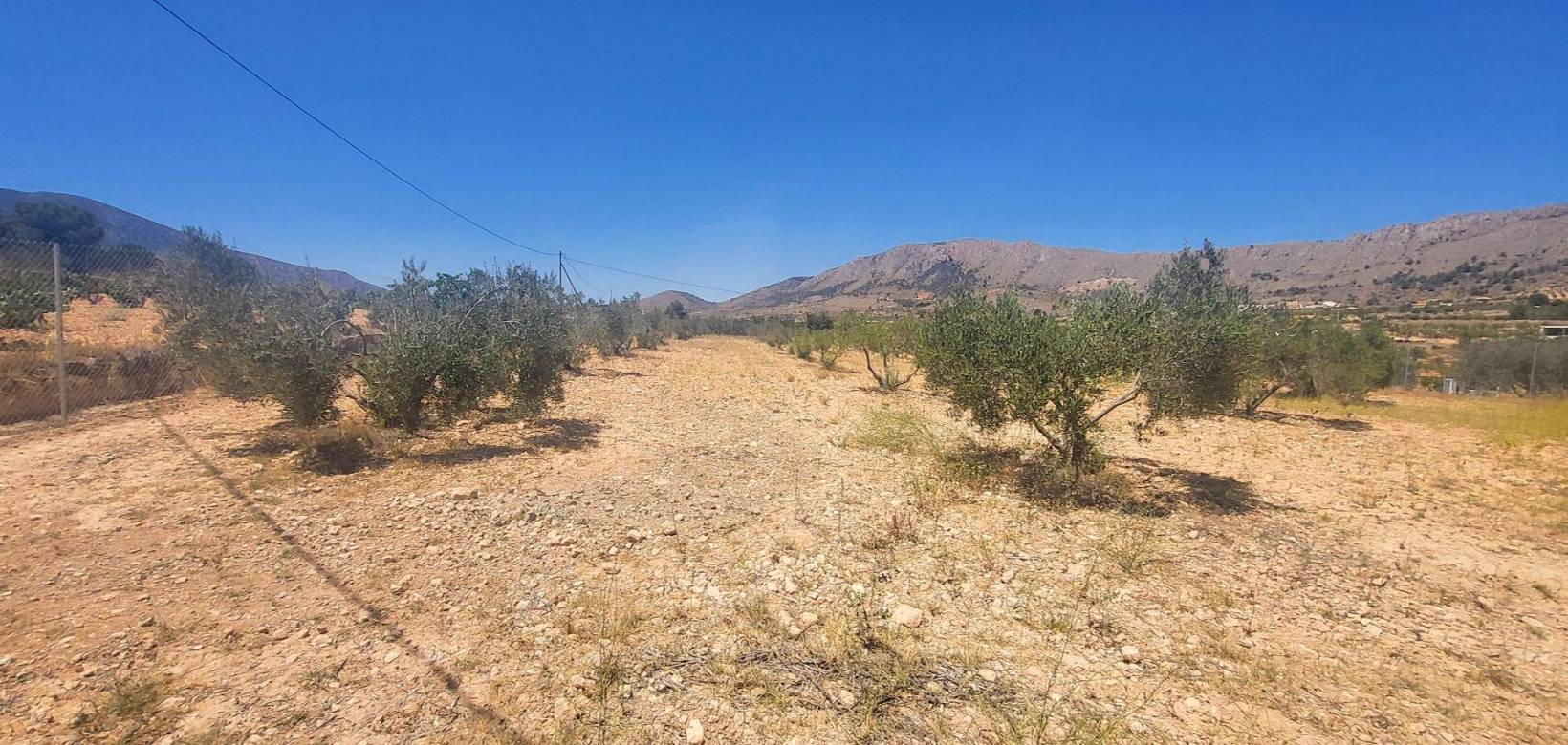 Resale - Country house - La Romana