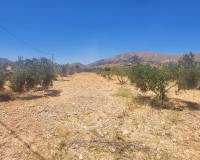 Resale - Country house - La Romana