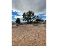 Resale - Country house - Macisvenda