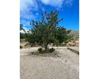 Resale - Country house - Macisvenda