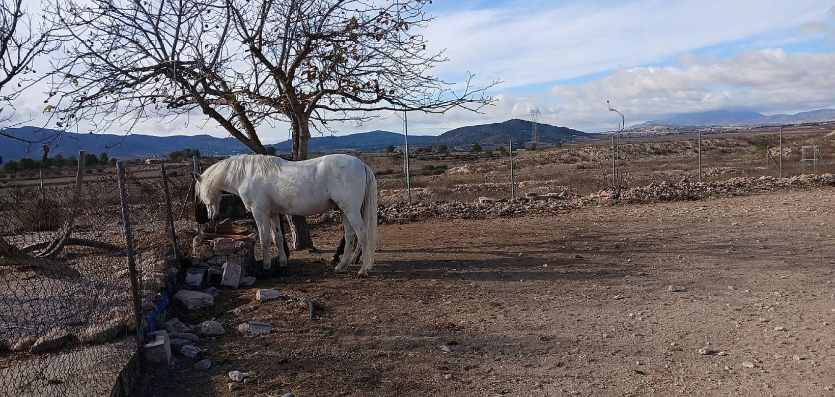 Resale - Country house - Monovar