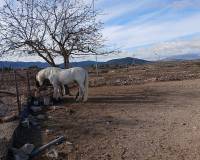 Resale - Country house - Monovar