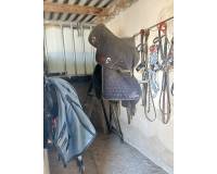 Resale - Country house - Monovar