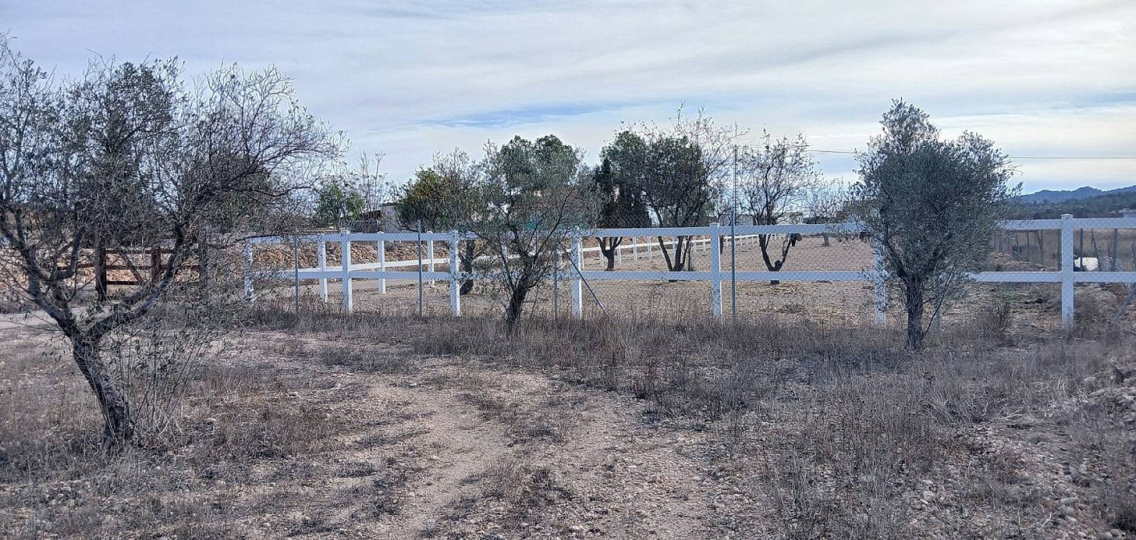 Resale - Country house - Monovar