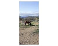 Resale - Country house - Monovar