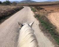 Resale - Country house - Monovar