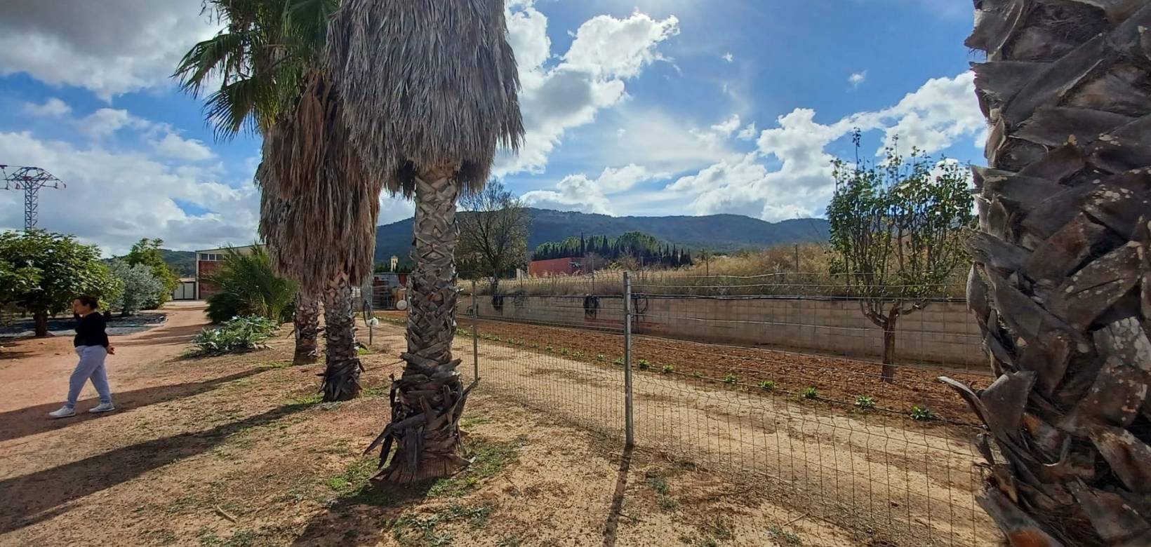 Resale - Country house - Monovar