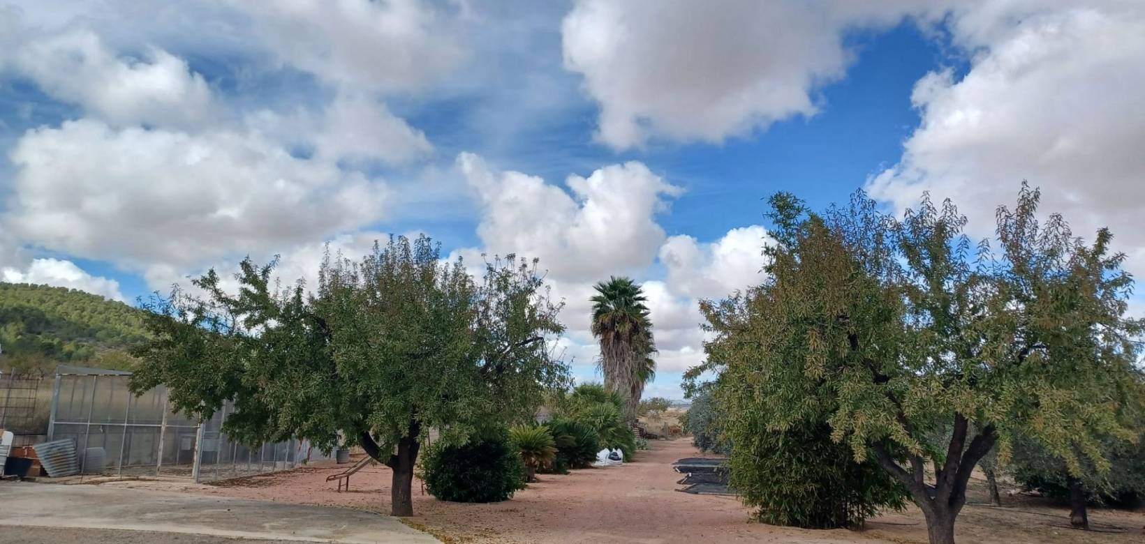 Resale - Country house - Monovar