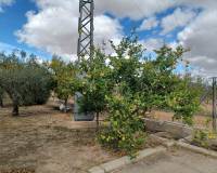 Resale - Country house - Monovar