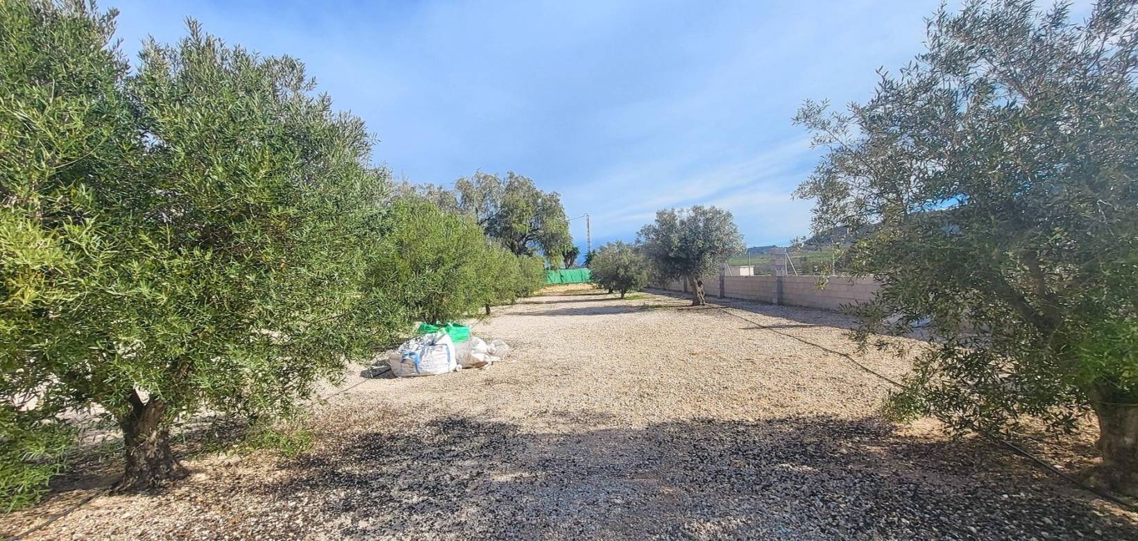 Resale - Country house - Monovar