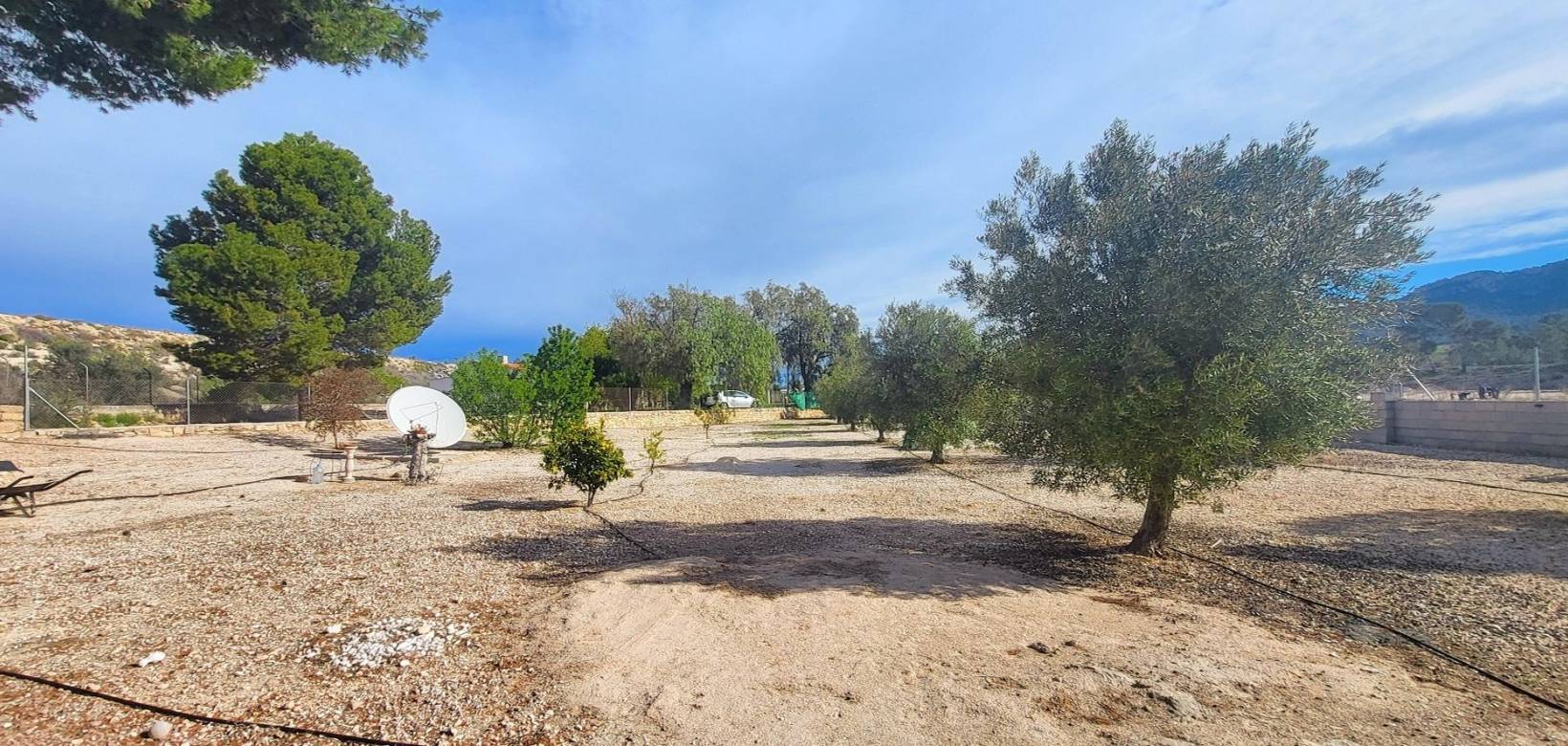 Resale - Country house - Monovar