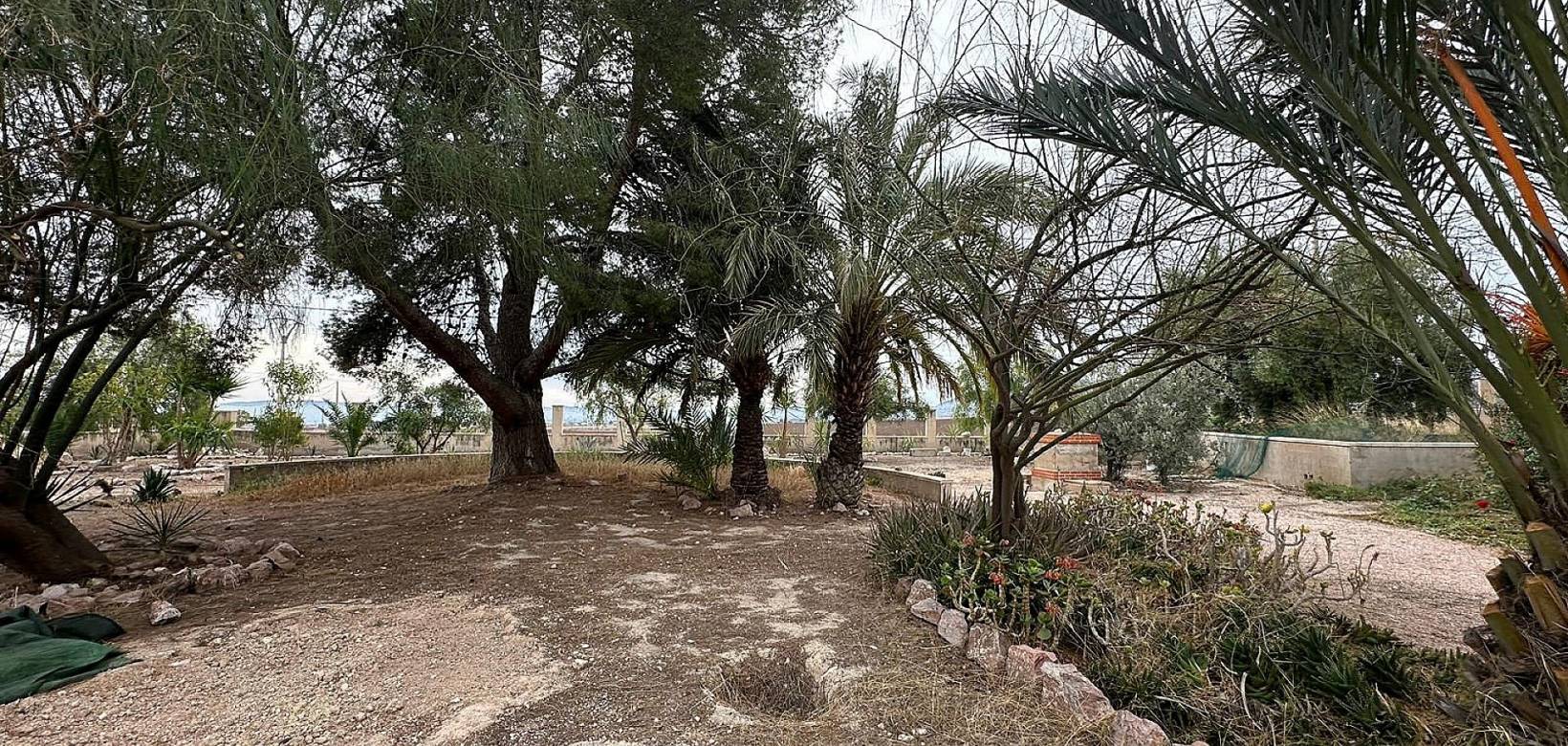 Resale - Country house - Novelda