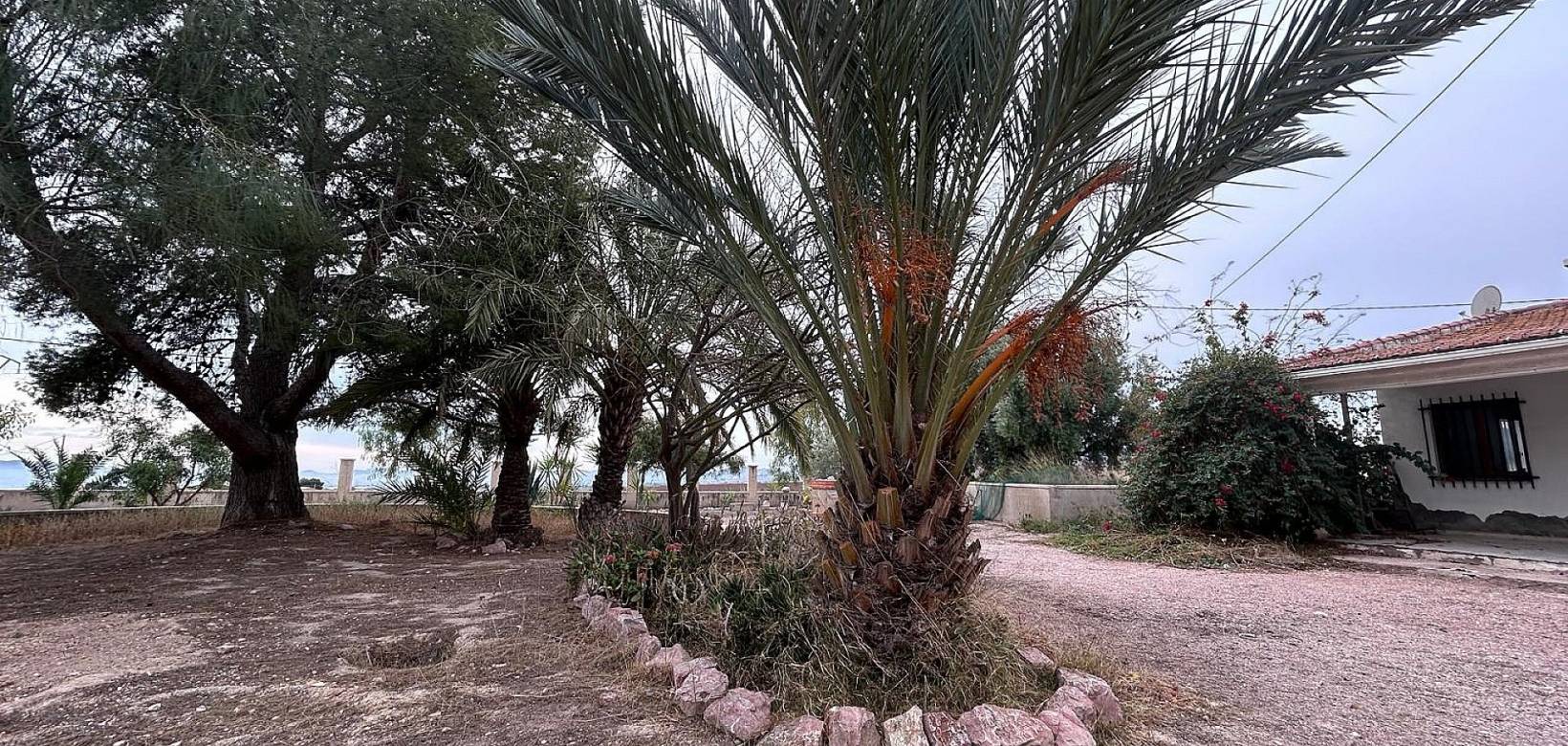 Resale - Country house - Novelda