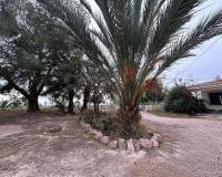 Resale - Country house - Novelda