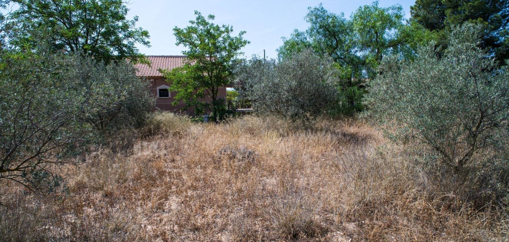 Resale - Country house - Pinoso