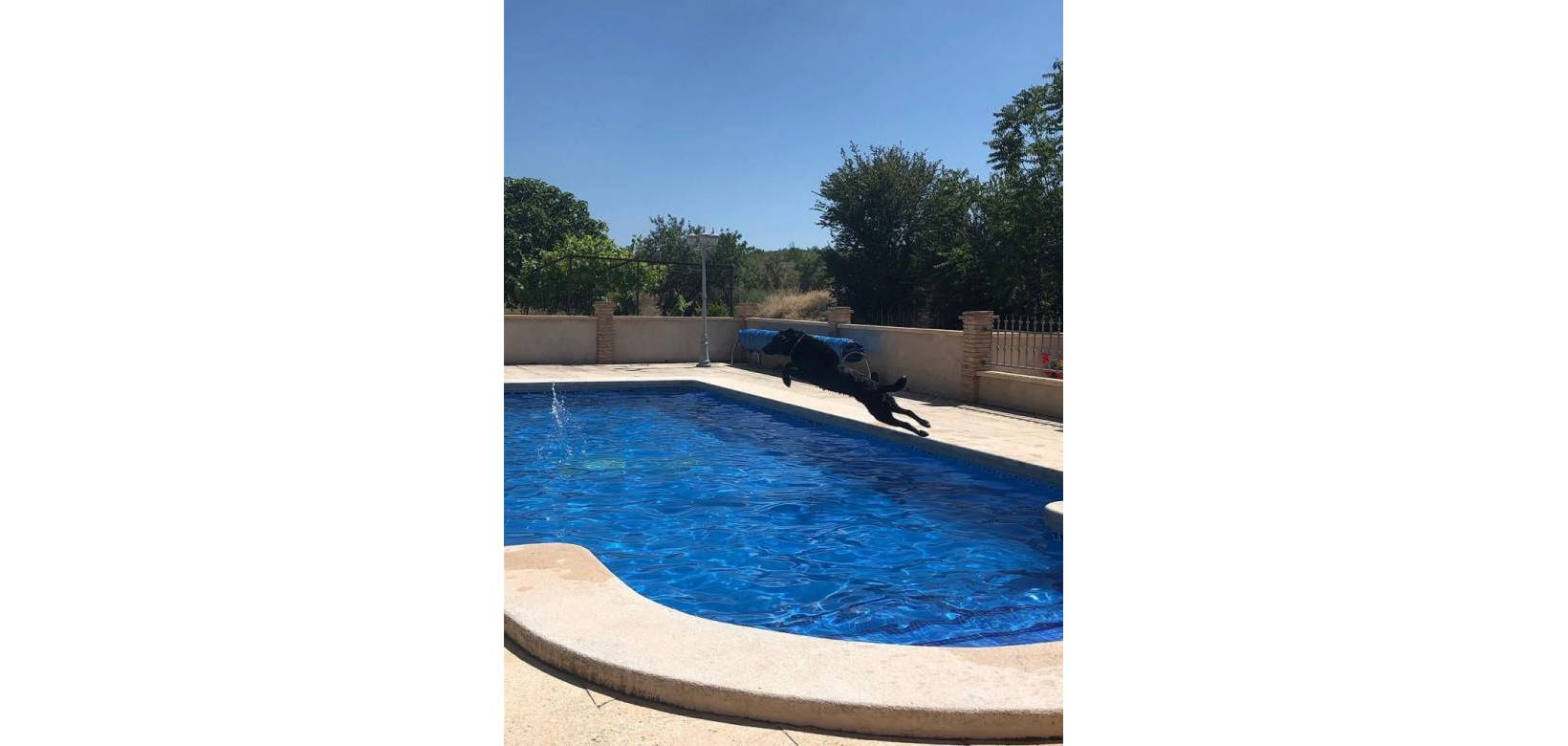 Resale - Country house - Raspay