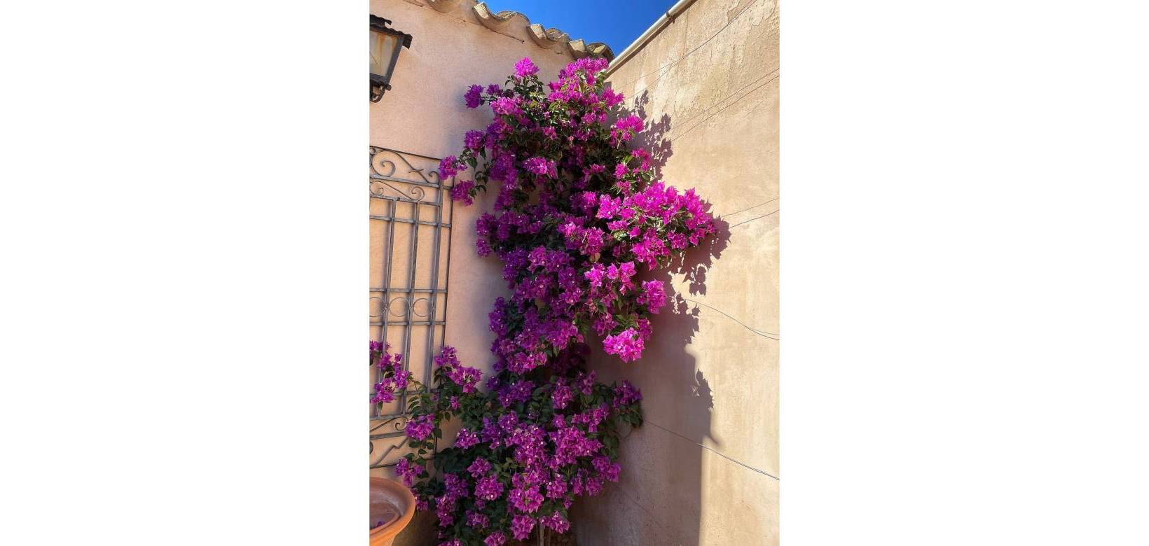 Resale - Country house - Raspay