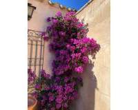 Resale - Country house - Raspay