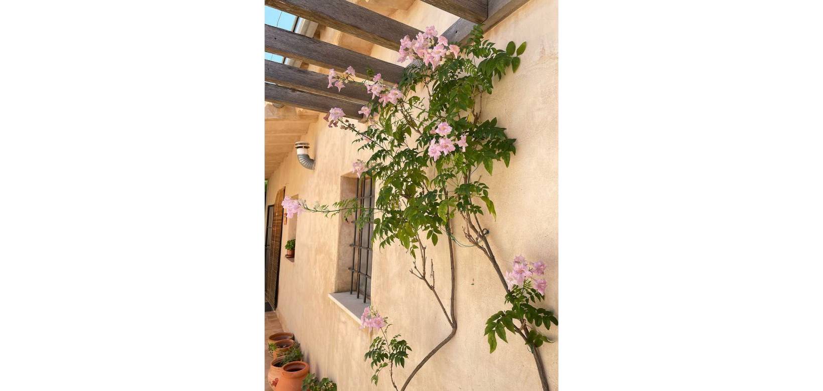 Resale - Country house - Raspay