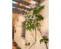 Resale - Country house - Raspay