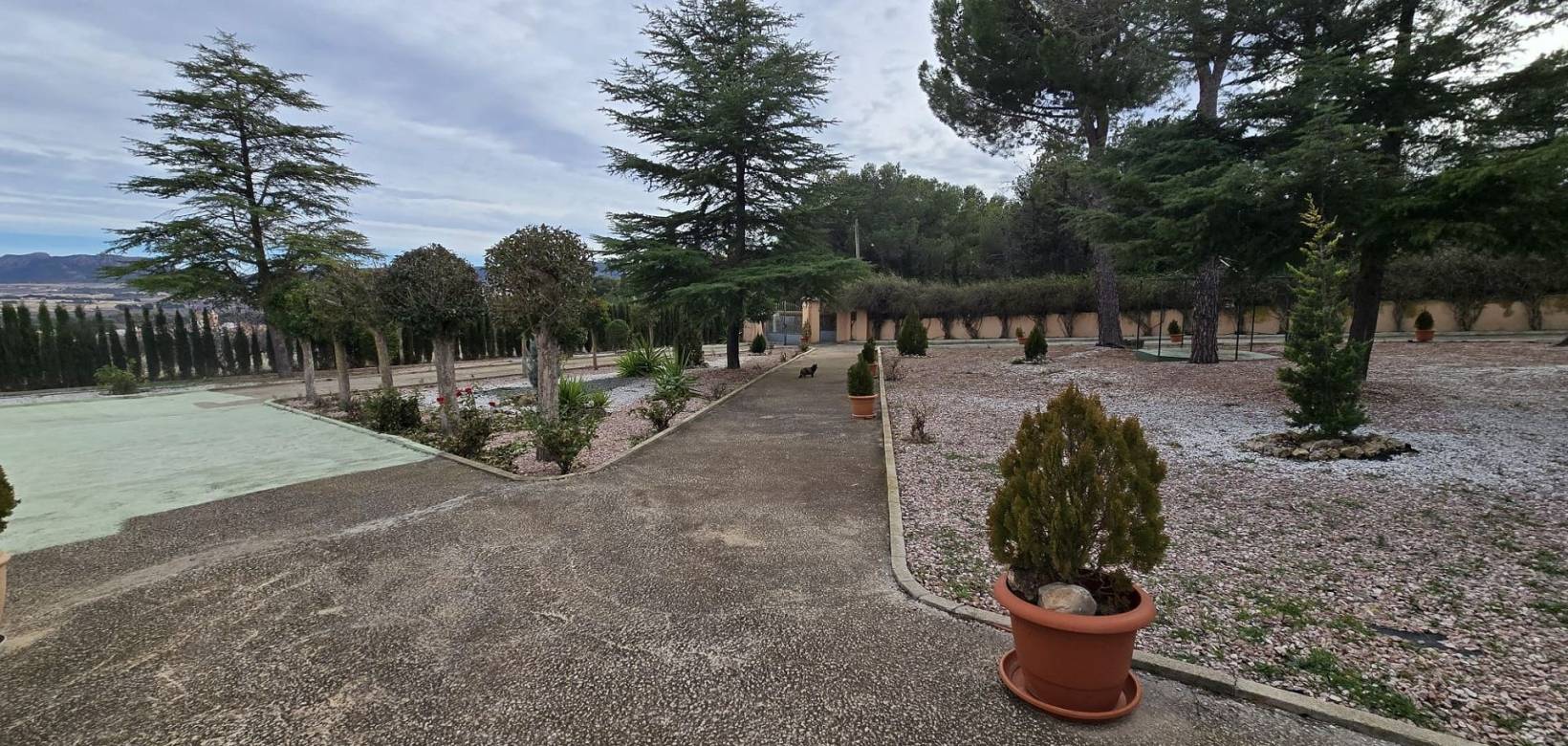 Resale - Country house - Salinas