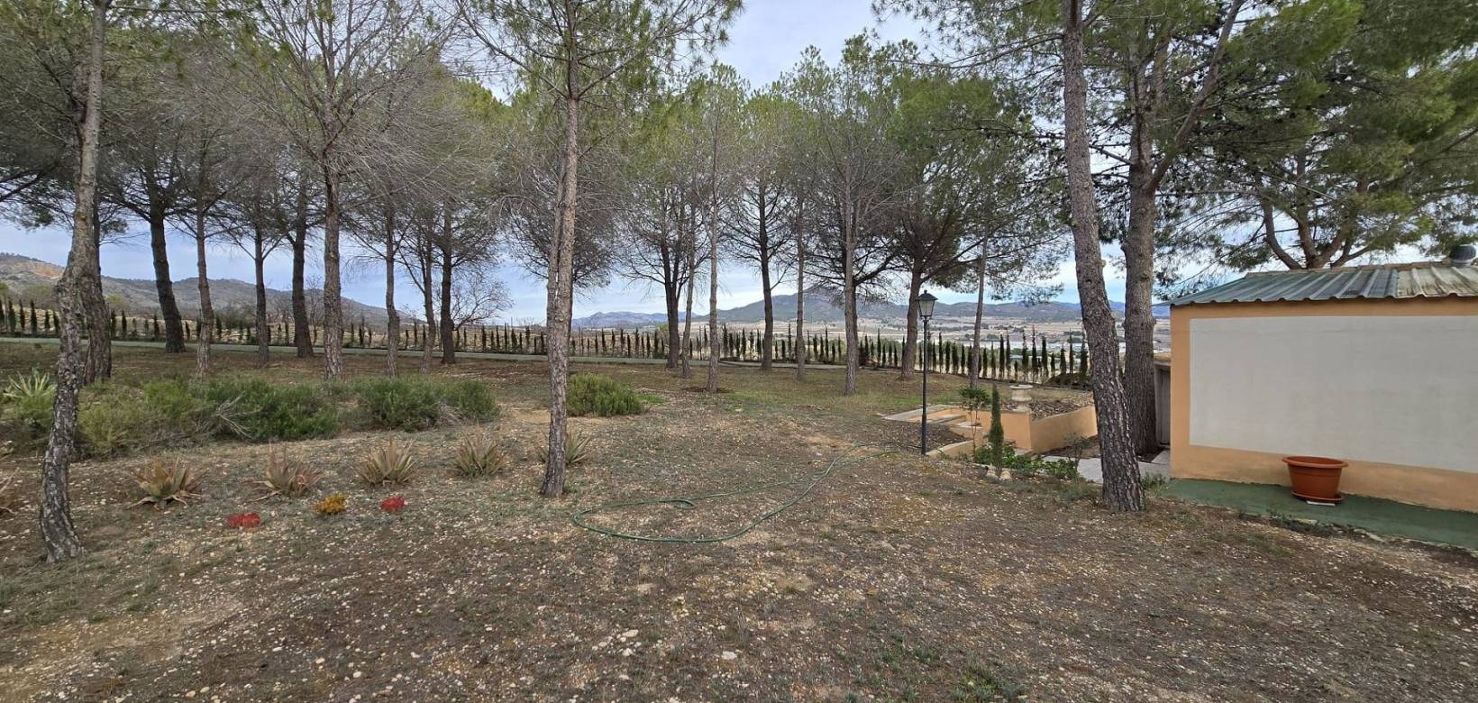 Resale - Country house - Salinas