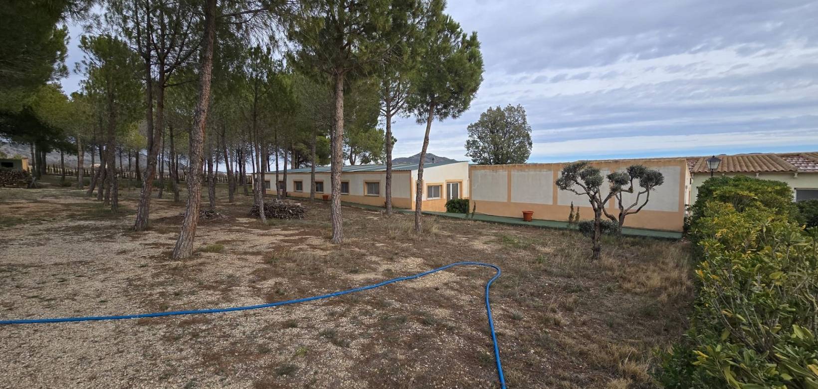 Resale - Country house - Salinas