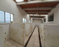 Resale - Country house - Salinas