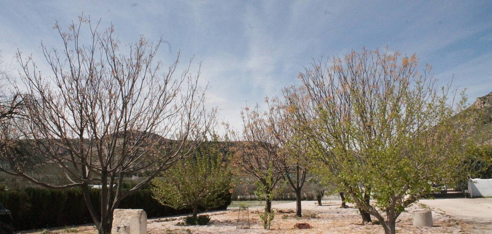 Resale - Country house - Villena