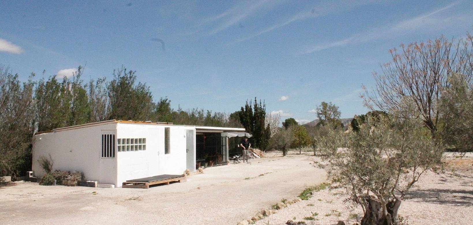 Resale - Country house - Villena