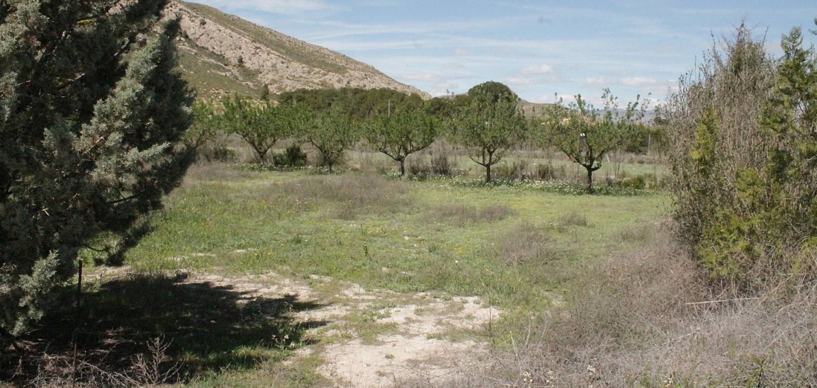 Resale - Country house - Villena