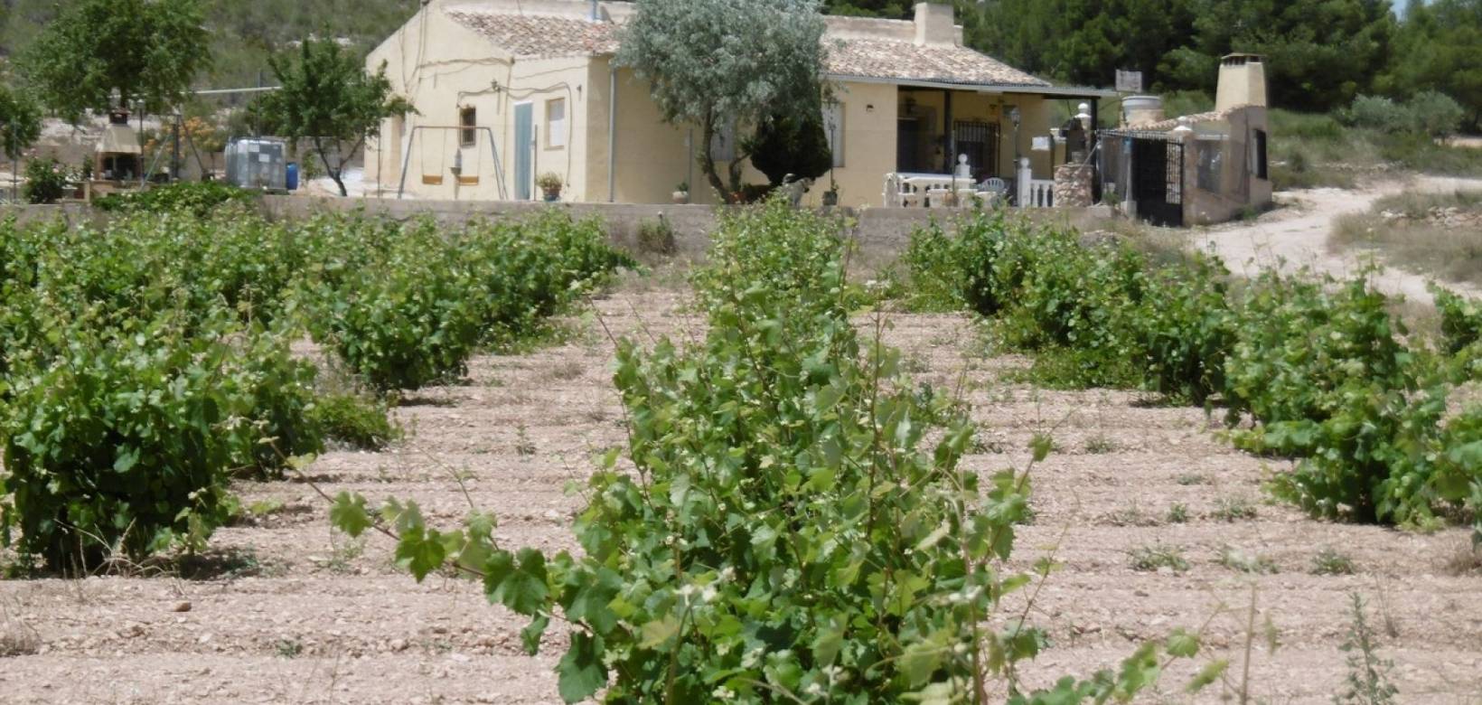 Resale - Country house - Yecla