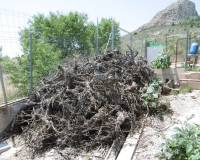 Resale - Country house - Yecla