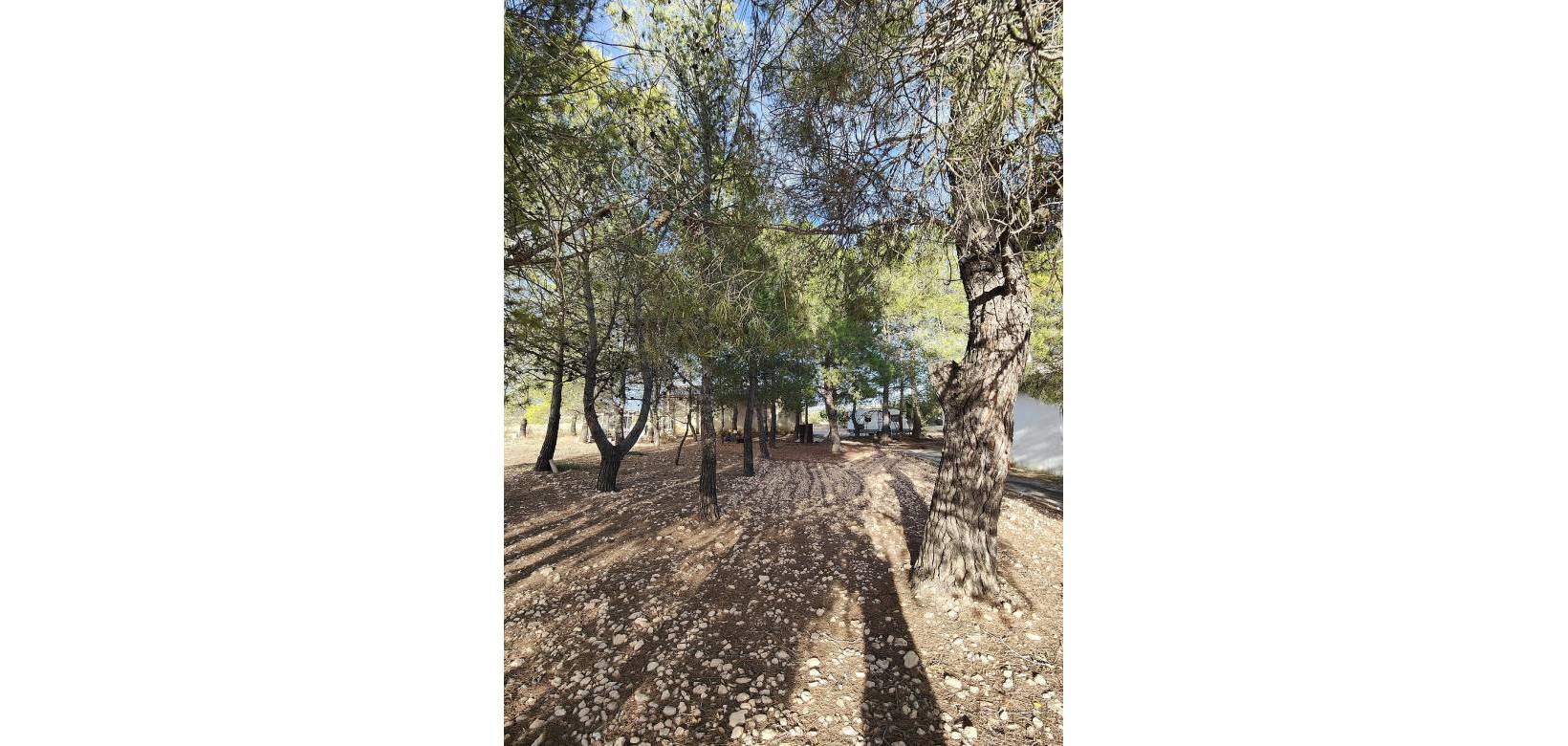 Resale - Country house - Yecla