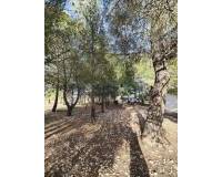 Resale - Country house - Yecla