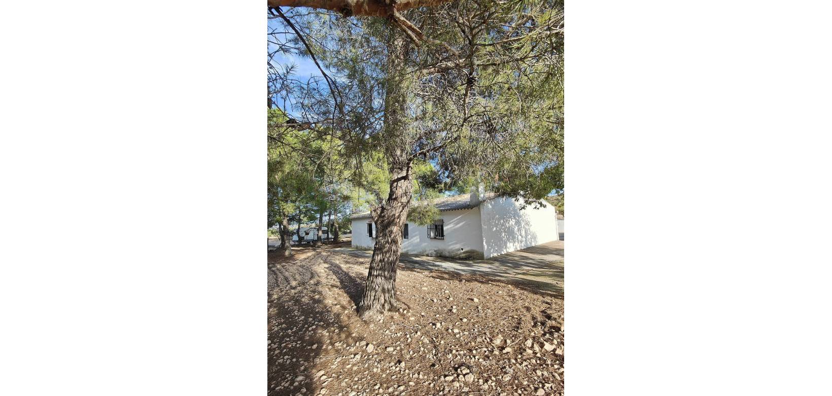 Resale - Country house - Yecla