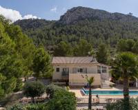 Resale - Detached villa - La Zarza