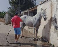 Resale - Detached villa - Monovar