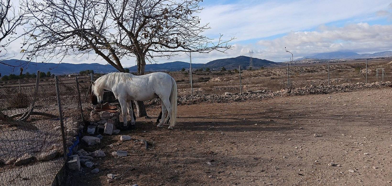 Resale - Detached villa - Monovar