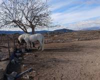 Resale - Detached villa - Monovar