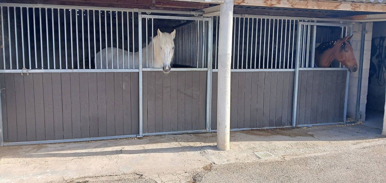 Resale - Detached villa - Monovar