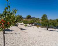 Resale - Detached villa - Pinoso - El Manyar